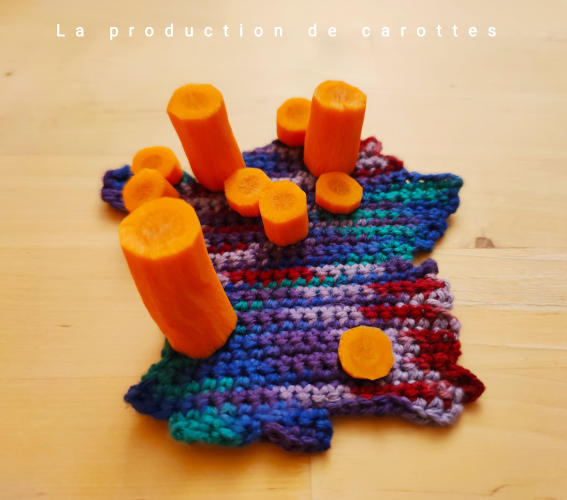 production carottes